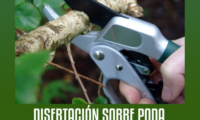 Disertación sobre poda de plantas de parque, jardín y veredas.