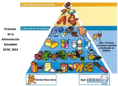 piramide nutricional 1 - Diario Resumen de la región