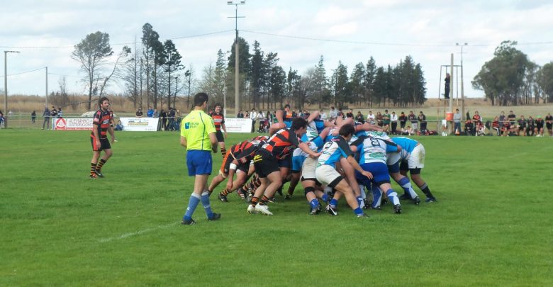 con la mira en semis 1 - Diario Resumen de la región