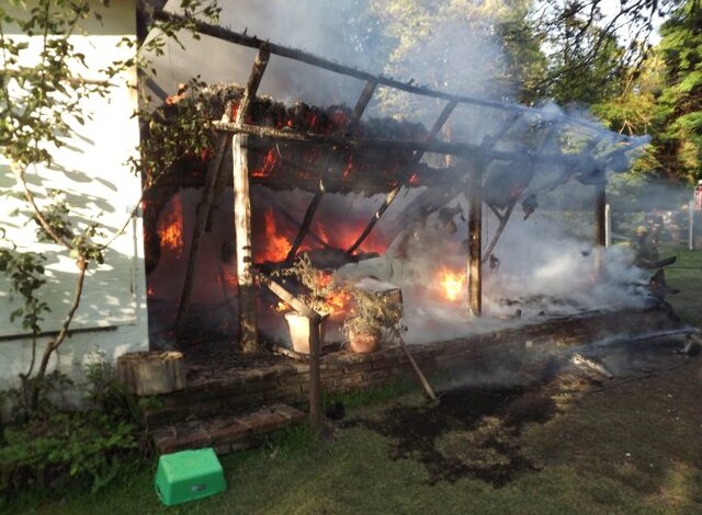 dscf6842 1 - Diario Resumen de la región