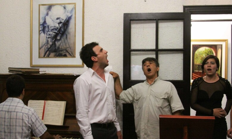 concierto en el museo manuel de falla 1 - Diario Resumen de la región