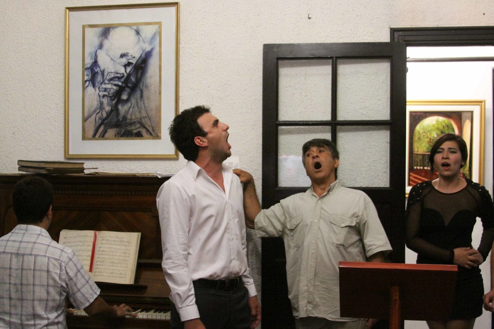 concierto en el museo manuel de falla 1 - Diario Resumen de la región