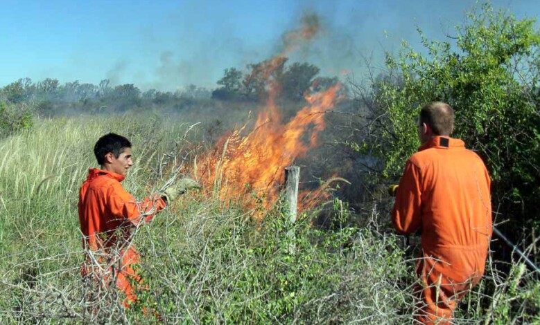 Incendio en la zona de La Marianita