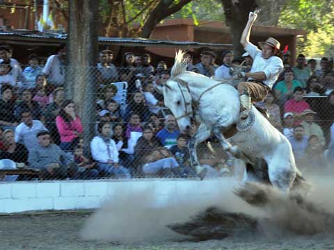 La destreza de los jinetes en el 30° Fogón Gaucho
