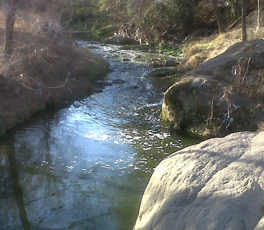 img00497 20130804 1702 1 - Diario Resumen de la región