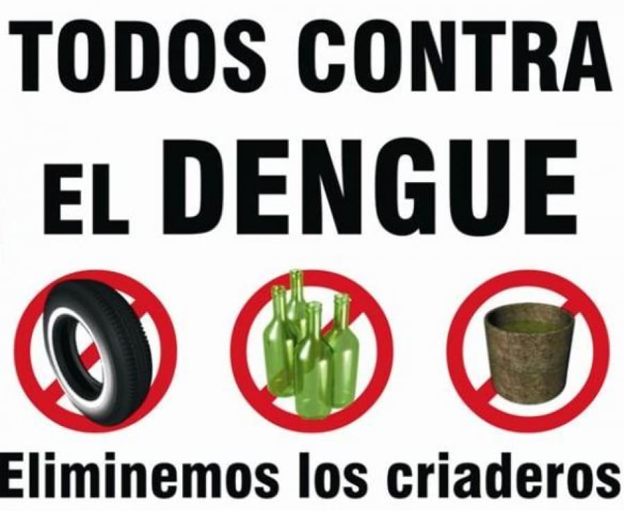 dengue 1 - Diario Resumen de la región