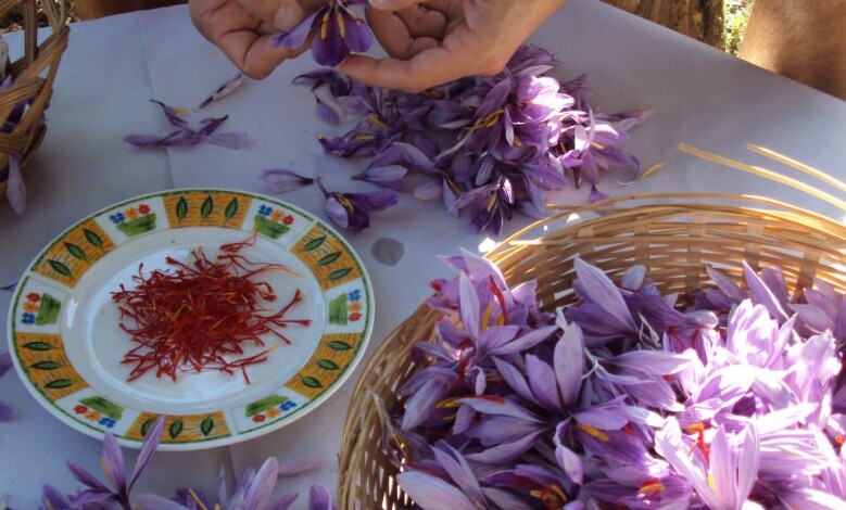 finca alta gracia 1 - Diario Resumen de la región