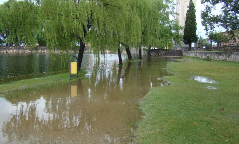 DSC05792 1 - Diario Resumen de la región