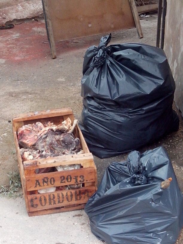 carne decomisada 1 - Diario Resumen de la región