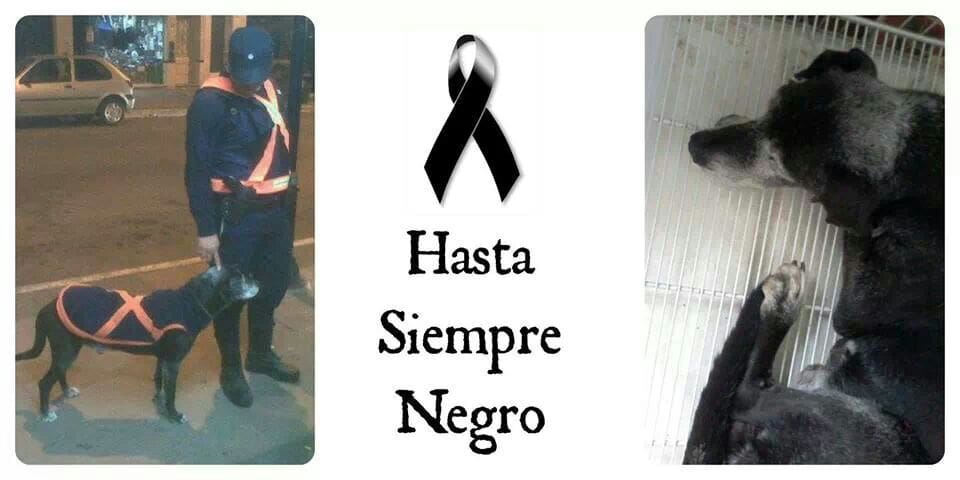 el negro 1 - Diario Resumen de la región