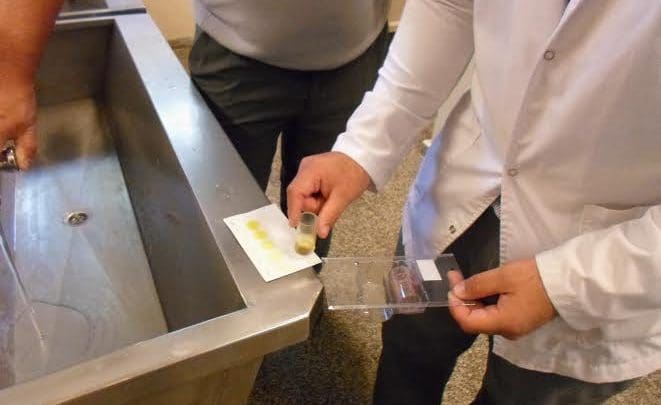 agua 1 - Diario Resumen de la región