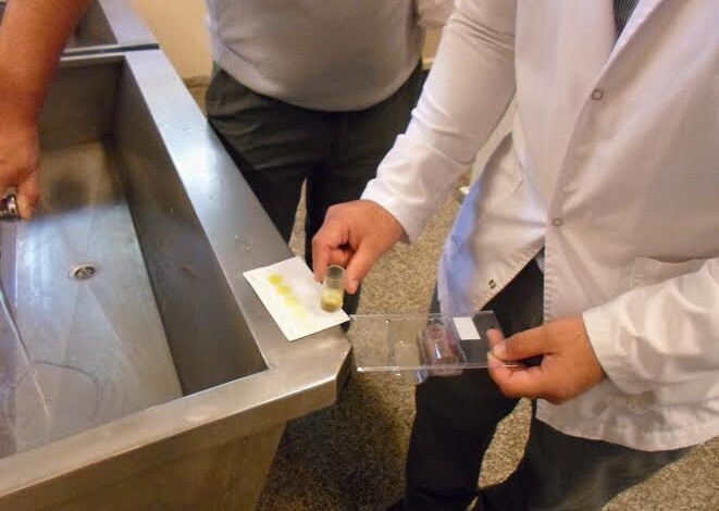 agua 1 - Diario Resumen de la región