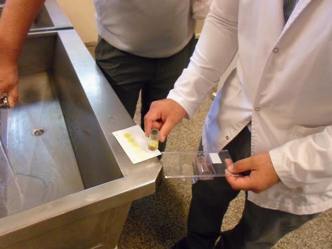 agua 1 - Diario Resumen de la región