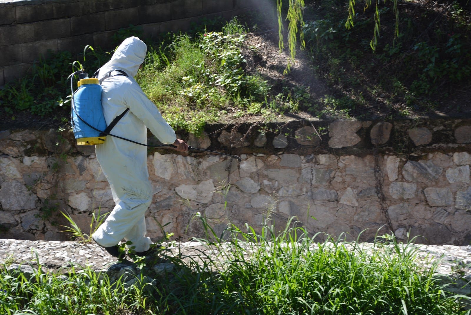 DSC 0299 Copiar 1 - Diario Resumen de la región