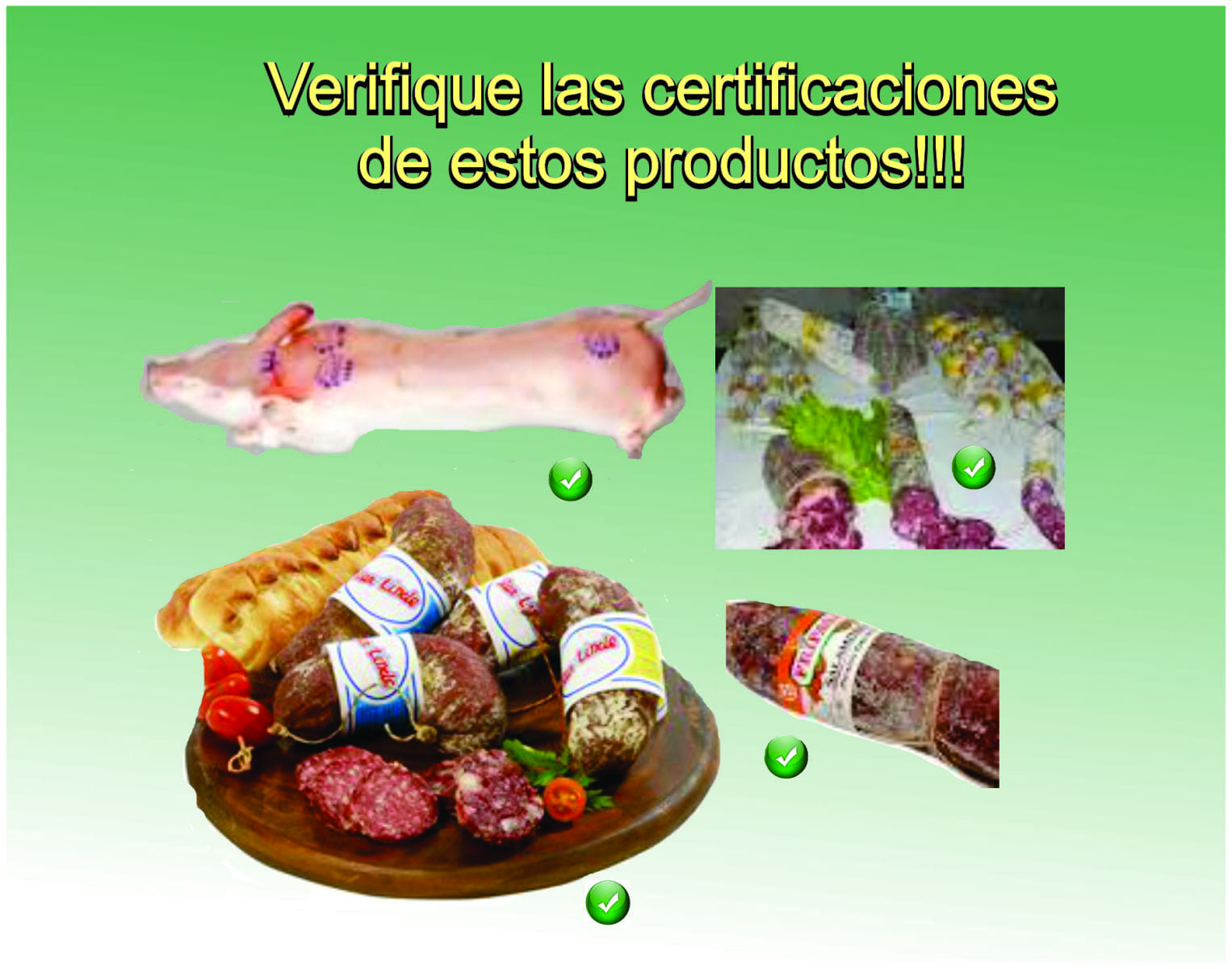 triquinosis 2 1 - Diario Resumen de la región