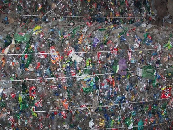 pet 1 1 - Diario Resumen de la región