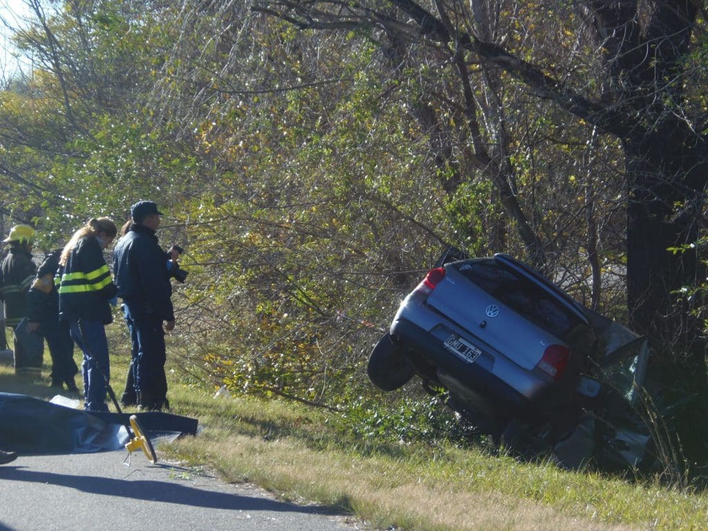 P6070719 1 - Diario Resumen de la región