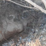 P7270357 1 - Diario Resumen de la región