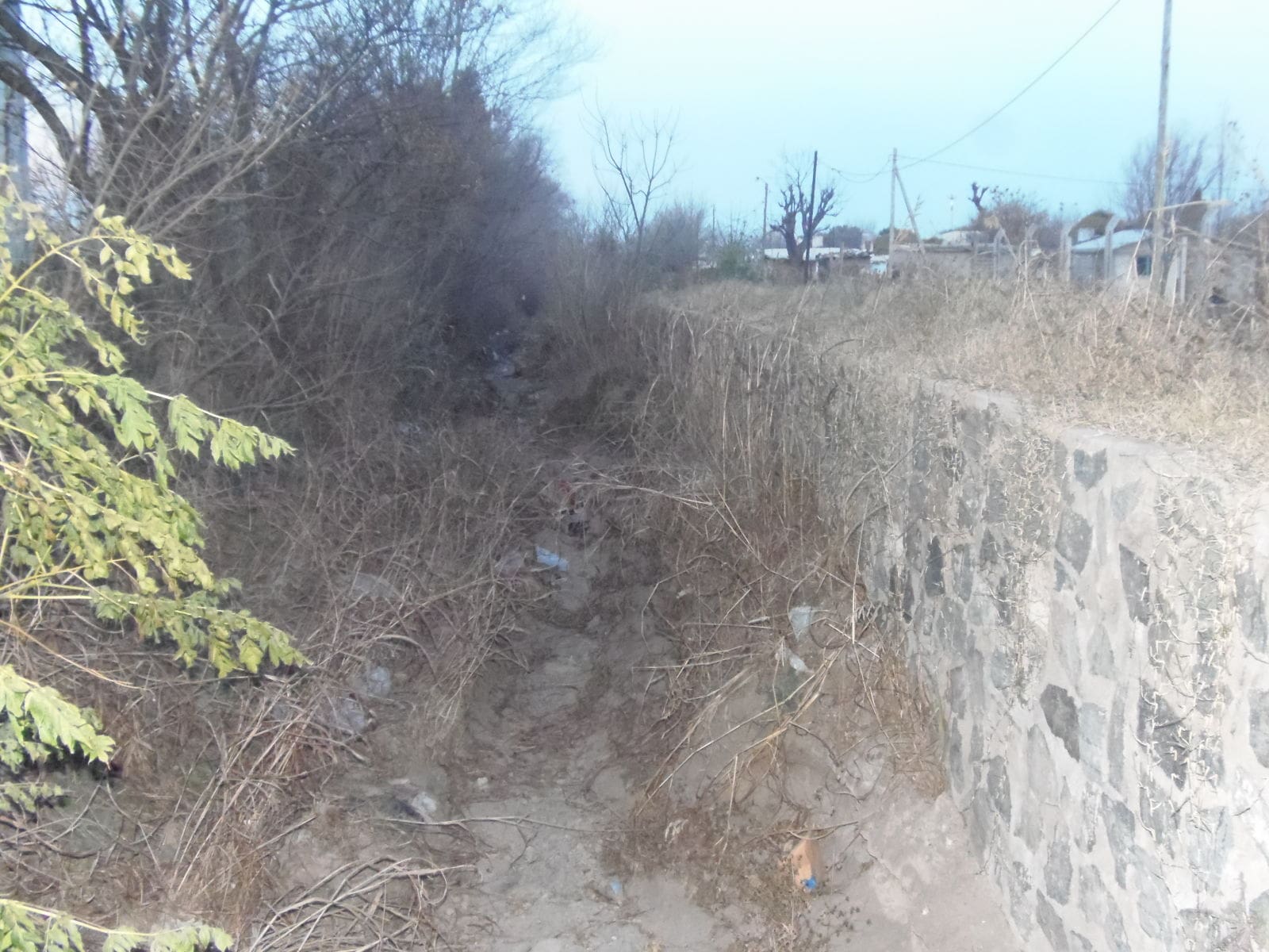 P7270364 1 - Diario Resumen de la región