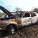 P8020448 1 - Diario Resumen de la región