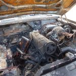 P8020453 1 - Diario Resumen de la región