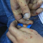 041 1 - Diario Resumen de la región