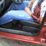 ALOS 2 1 - Diario Resumen de la región