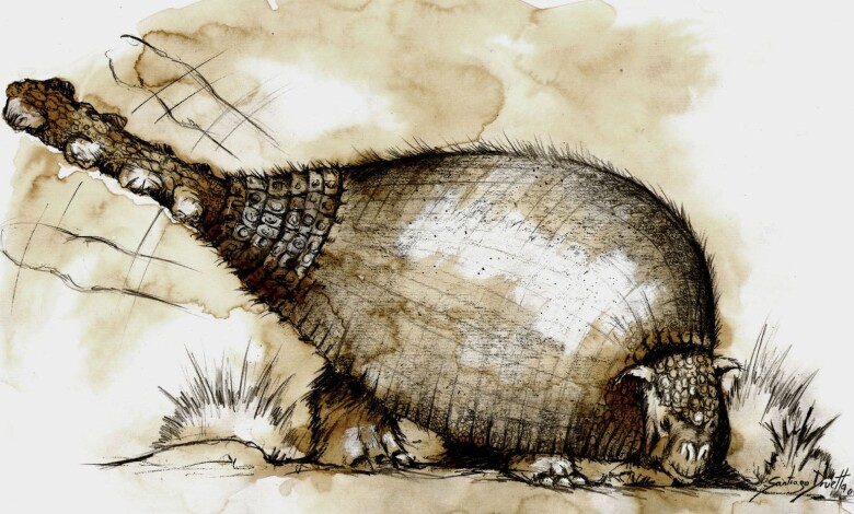 Gliptodonte Ilustración 1 - Diario Resumen de la región