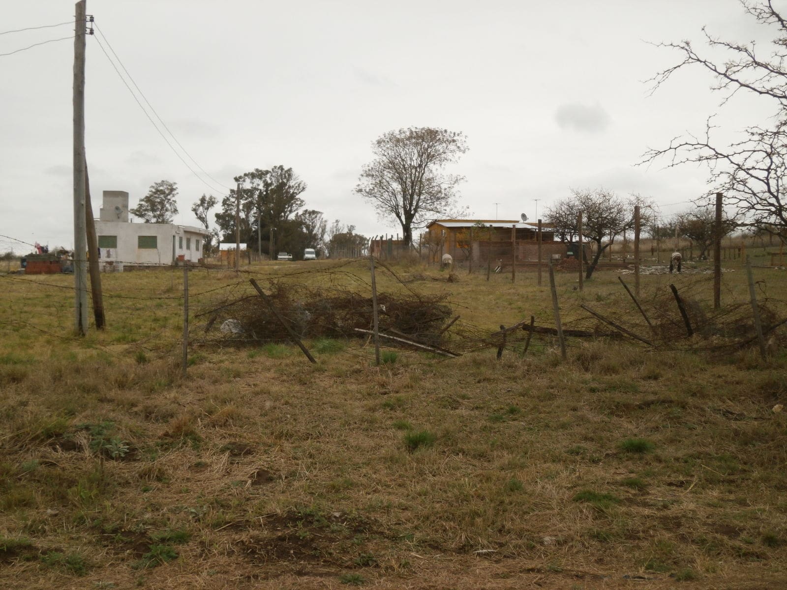 P9050139 1 - Diario Resumen de la región