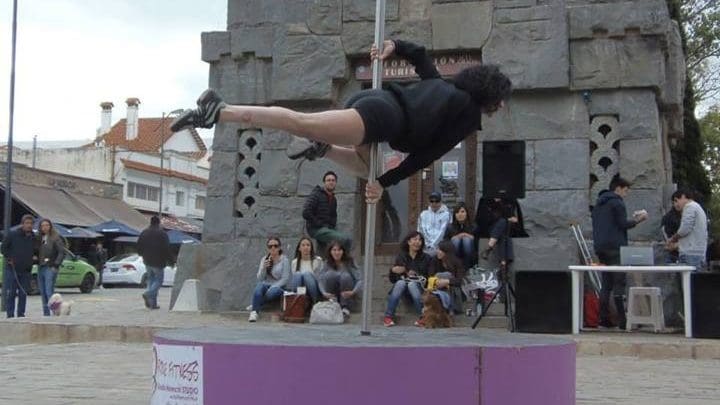 pole dance 1 - Diario Resumen de la región