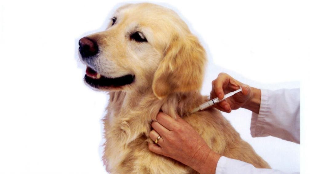 18 2 1 - Diario Resumen de la región