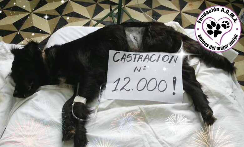 5 1 1 - Diario Resumen de la región