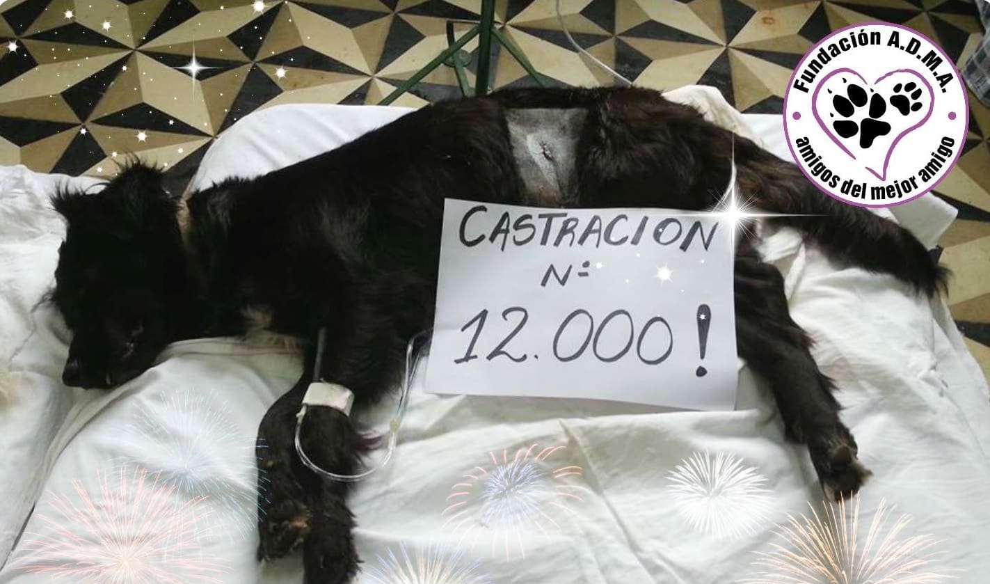 5 1 1 - Diario Resumen de la región