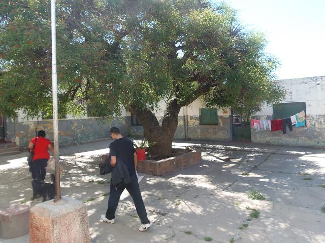 Anacleto Oviedo 2 - Diario Resumen de la región