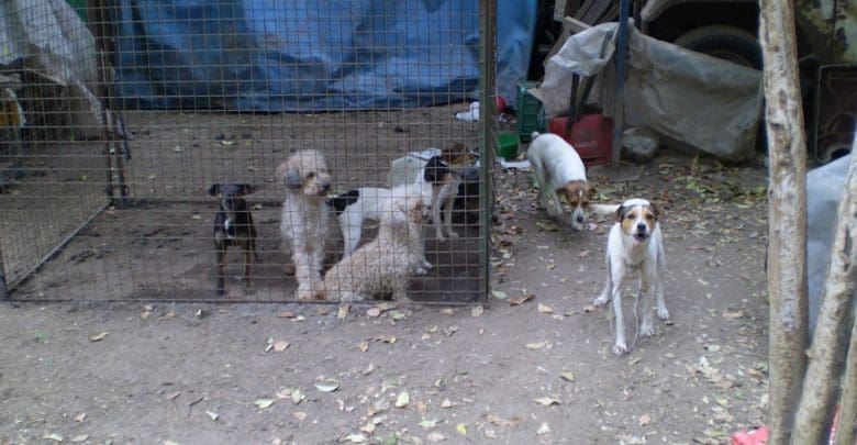 P9110037 1 - Diario Resumen de la región