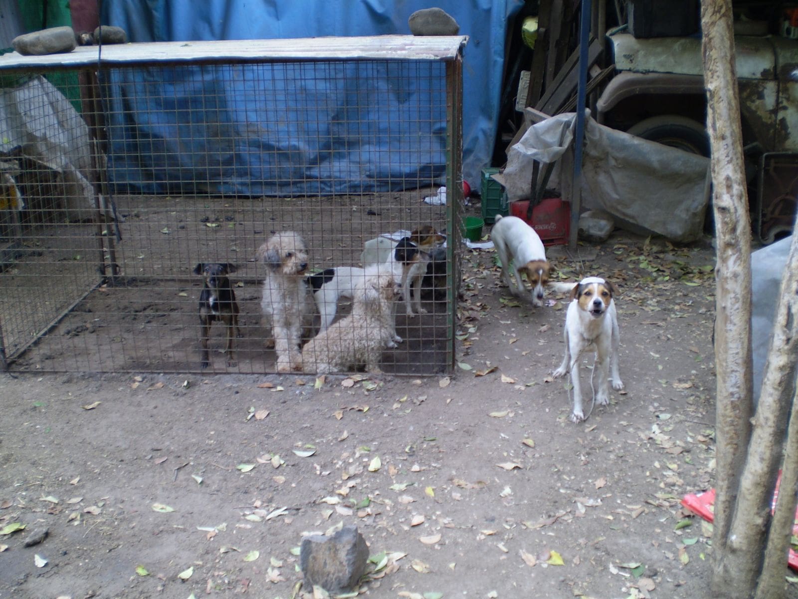 P9110037 1 - Diario Resumen de la región