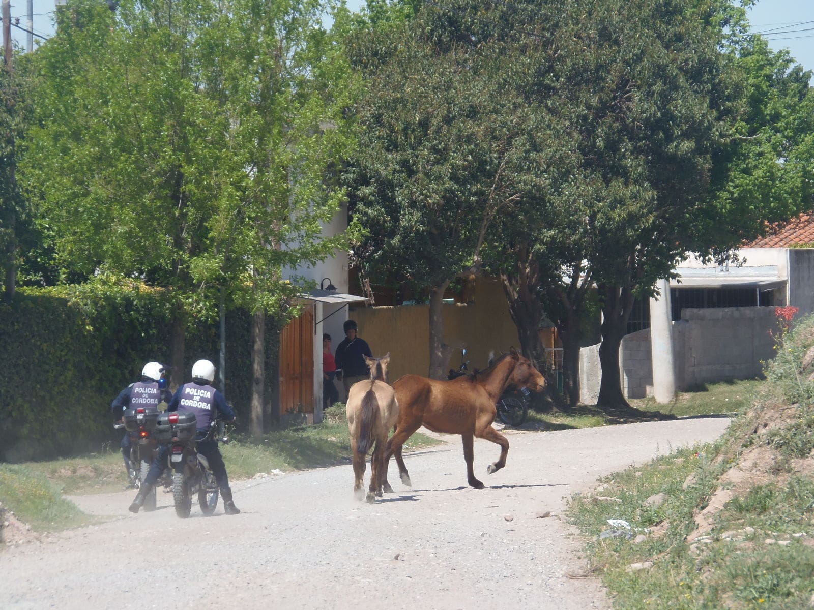 P9270795 1 - Diario Resumen de la región