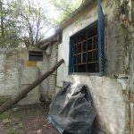 PA1411931 1 - Diario Resumen de la región