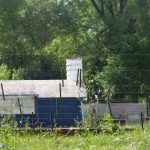 PA1411941 1 - Diario Resumen de la región