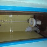 PA141195 1 - Diario Resumen de la región