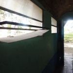 PA141199 1 - Diario Resumen de la región