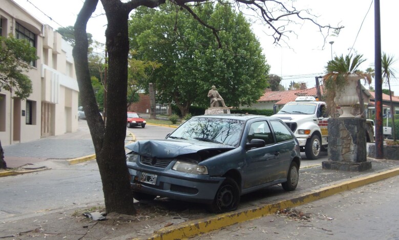 PA181236 1 - Diario Resumen de la región