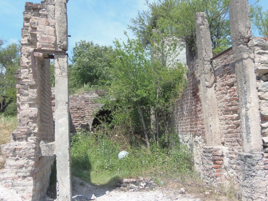 PA271434 1 - Diario Resumen de la región