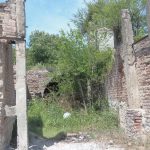 PA271434 1 - Diario Resumen de la región