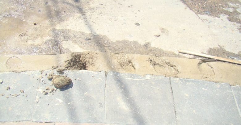 DSC01039 1 - Diario Resumen de la región