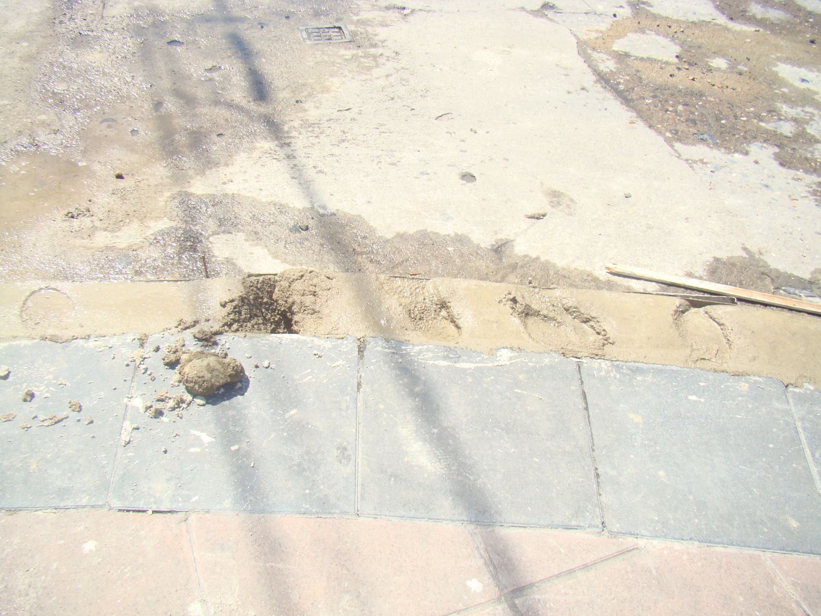 DSC01039 1 - Diario Resumen de la región