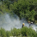 PB051637 1 - Diario Resumen de la región