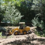 PB061670 1 - Diario Resumen de la región