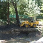 PB061671 1 - Diario Resumen de la región