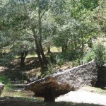 PB061673 1 - Diario Resumen de la región